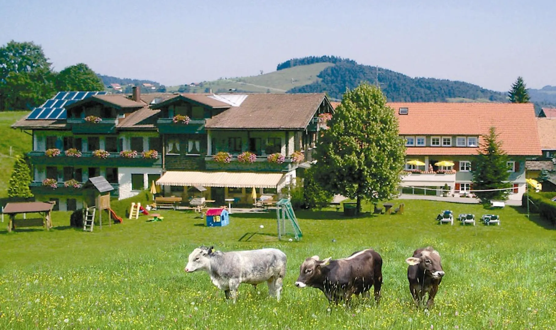 Ferienhotel Starennest Schindelberg Hotel